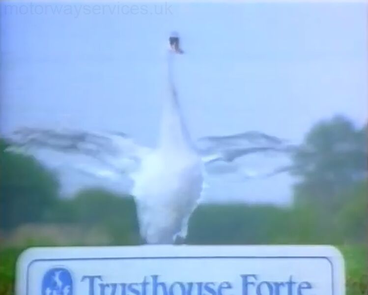 File:Trusthouse Forte swan campaign.jpg