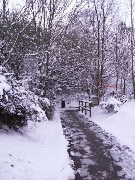 File:Rownhams snow path.jpg