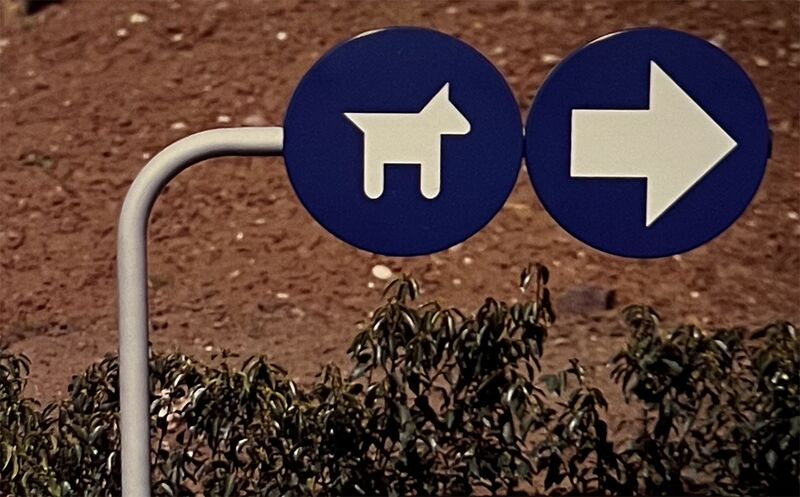 File:Granada dog signs.jpg